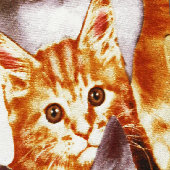 1165-100: Cats Ties Kitty Neckties by Steven Harris