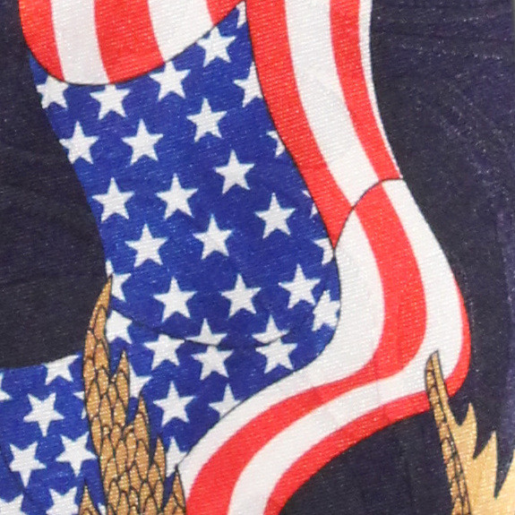 1272-100: Eagle Ties US Flag Neckties Patriot Black by Steven Harris