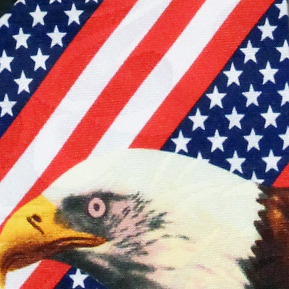 1369-100: Stars Stripes Eagles Tie Patriotic Flag Neckties by Steven Harris