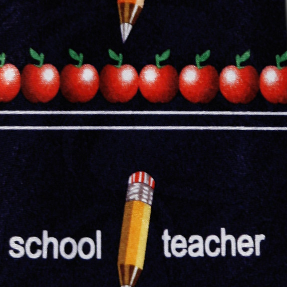 1494-102: Teacher Ties Stripe School Apple Neckties by Steven Harris