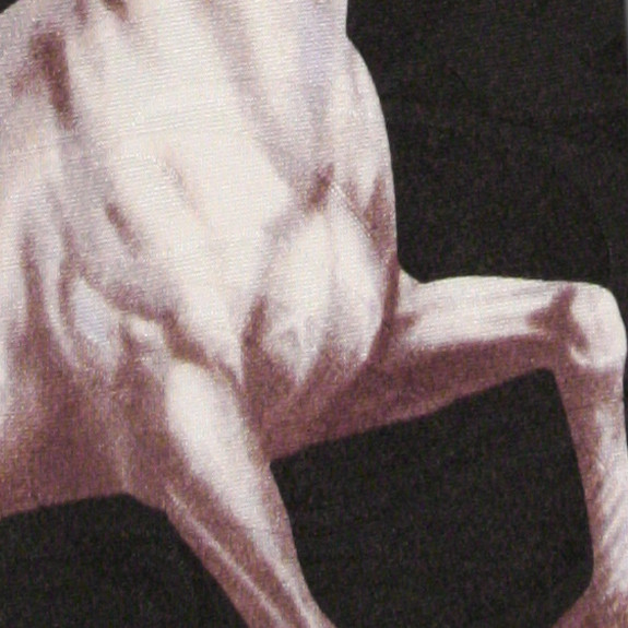 1592-100: Horses Tie White Stallion Neckties Black by Steven Harris