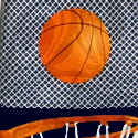1646-102: Big Basketball Net Ties Navy Basket Balls Necktie by Steven Harris