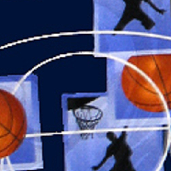 1647-102: Basketball Panels Tie Navy Basket Balls Neckties by Steven Harris