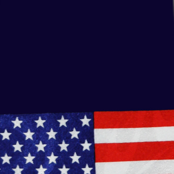 1709-102: Big Flags Ties Navy Neckties by Steven Harris