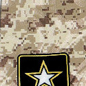 1761-102: US Army Camo Ties Tan Camouflage Neckties by Steven Harris