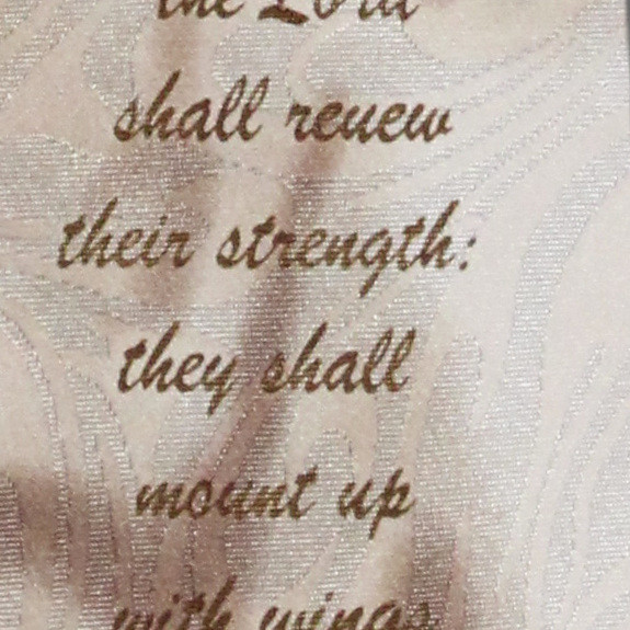 1847-100: Isaiah 40 31 Ties With Wings as Eagles Neckties Tan by Steven Harris