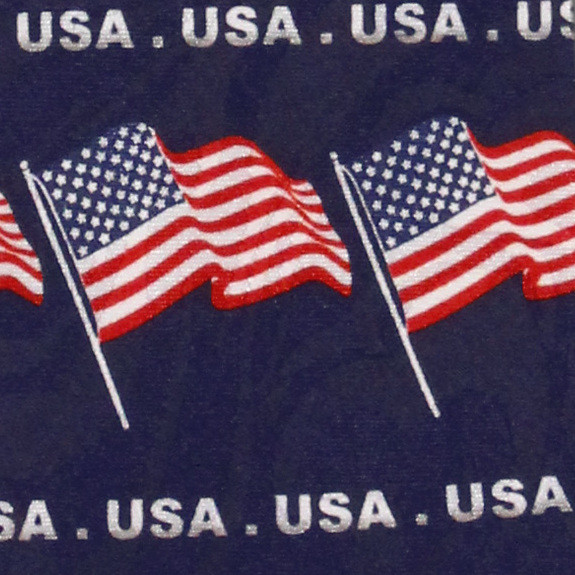 1868-100: USA Flag Neckties Patriotic American Flags Tie by Steven Harris