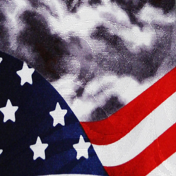 1948-100: US Flag with Eagles Ties Neckties by Steven Harris