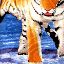 2035-100: Tiger Ties Storm Neckties by Steven Harris