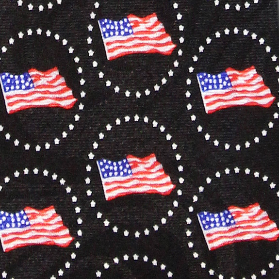 2197-100: American Flag Circles Ties Patriotic Neckties by Steven Harris