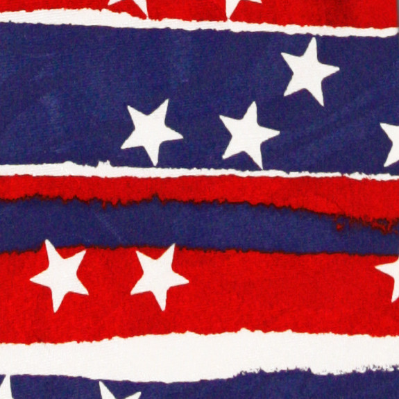 2258-100: Red White Blue Stars Tie Abstract American Ties by Steven Harris