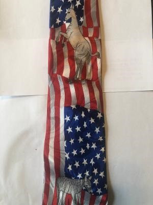 2483-100: Democrat Ties Political Politics Donkeys and Flags Neckties by Steven Harris