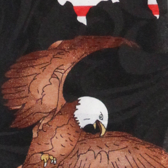 2485-100: Eagle with USA Flag Ties American Flag Neckties Black by Steven Harris
