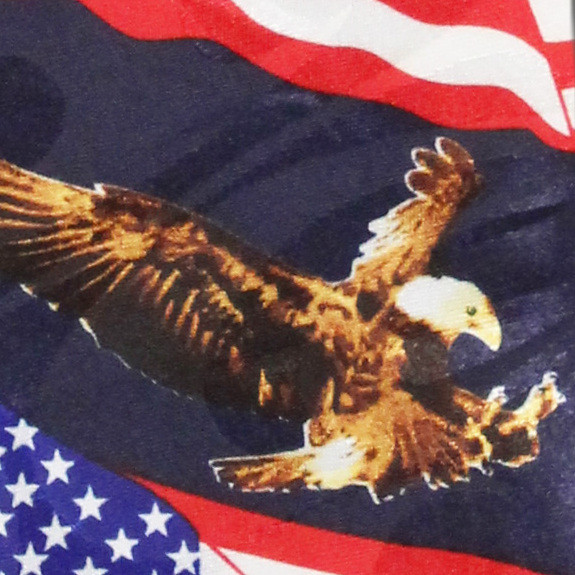 2494-102: Flying Eagle and Flags Tie US Flag Necktie Navy by Steven Harris