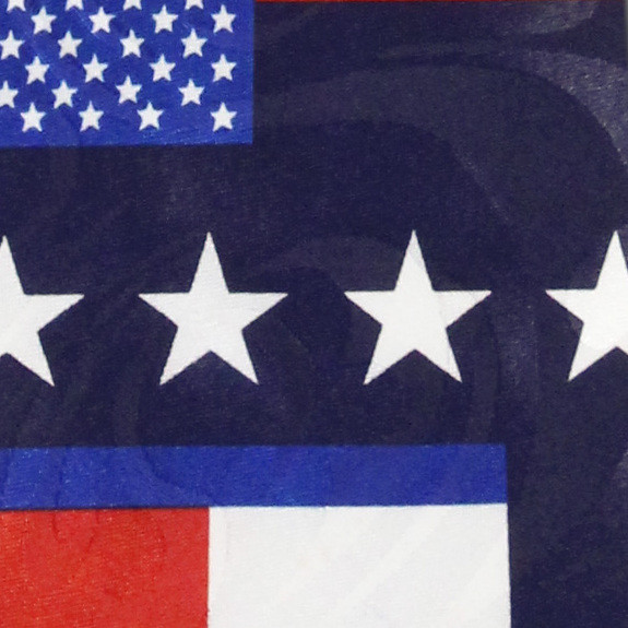 3003-102: Texas Flag Ties Texan Neckties Navy by Steven Harris