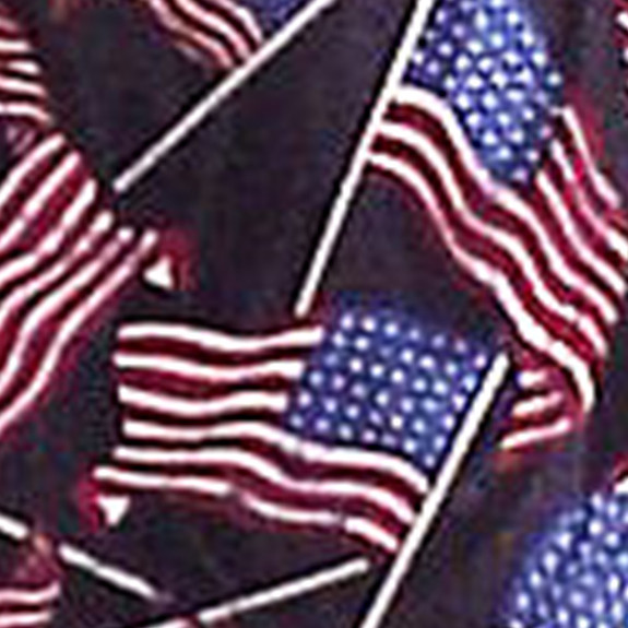 393-100: Mini Flags Allover Tie Patriotic American Neckties by Steven Harris