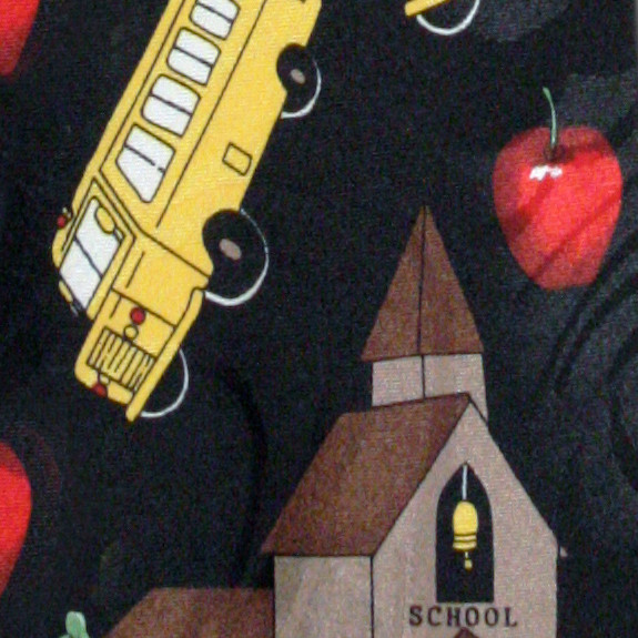 612-100: School Teacher Ties Apple Bus Neckties Black by Steven Harris