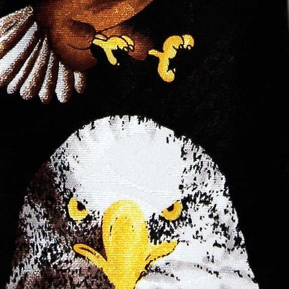 665-102: Eagle Ties Flying Eagles Necktie Black by Steven Harris