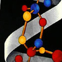 796-100: DNA Ties Black Helix Neckties Science by Steven Harris