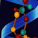 796-102: DNA Ties Navy Helix Neckties Science by Steven Harris