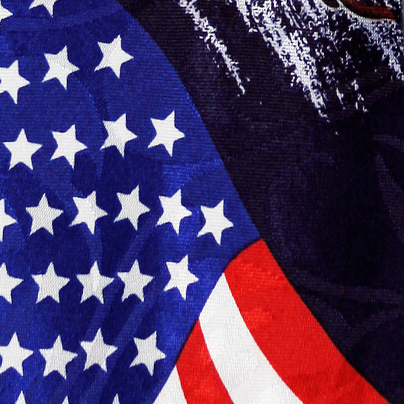 836-100: Flying Eagle Ties with Flag Neckties by Steven Harris
