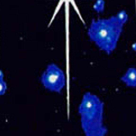 908-100: Nativity Ties Religious Christmas Neckties Abstract Black by Steven Harris