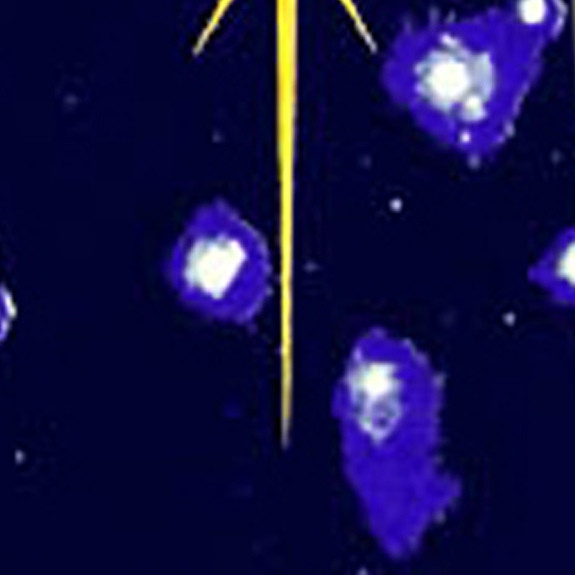 908-102: Nativity Ties Religious Christmas Neckties Abstract Navy by Steven Harris