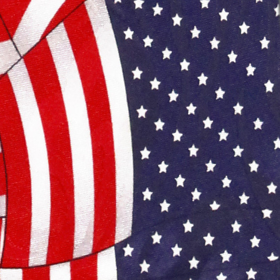 955-100: Waving Flag Ties US Flags Necktie by Steven Harris